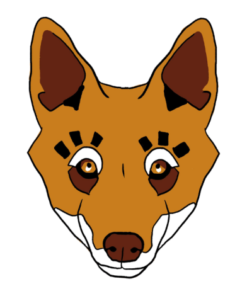 אתיופיה Ky Kebero Fully Washed