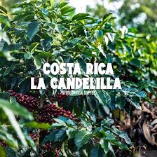 קוסטה ריקה La Candelilla Estate Washed Geisha