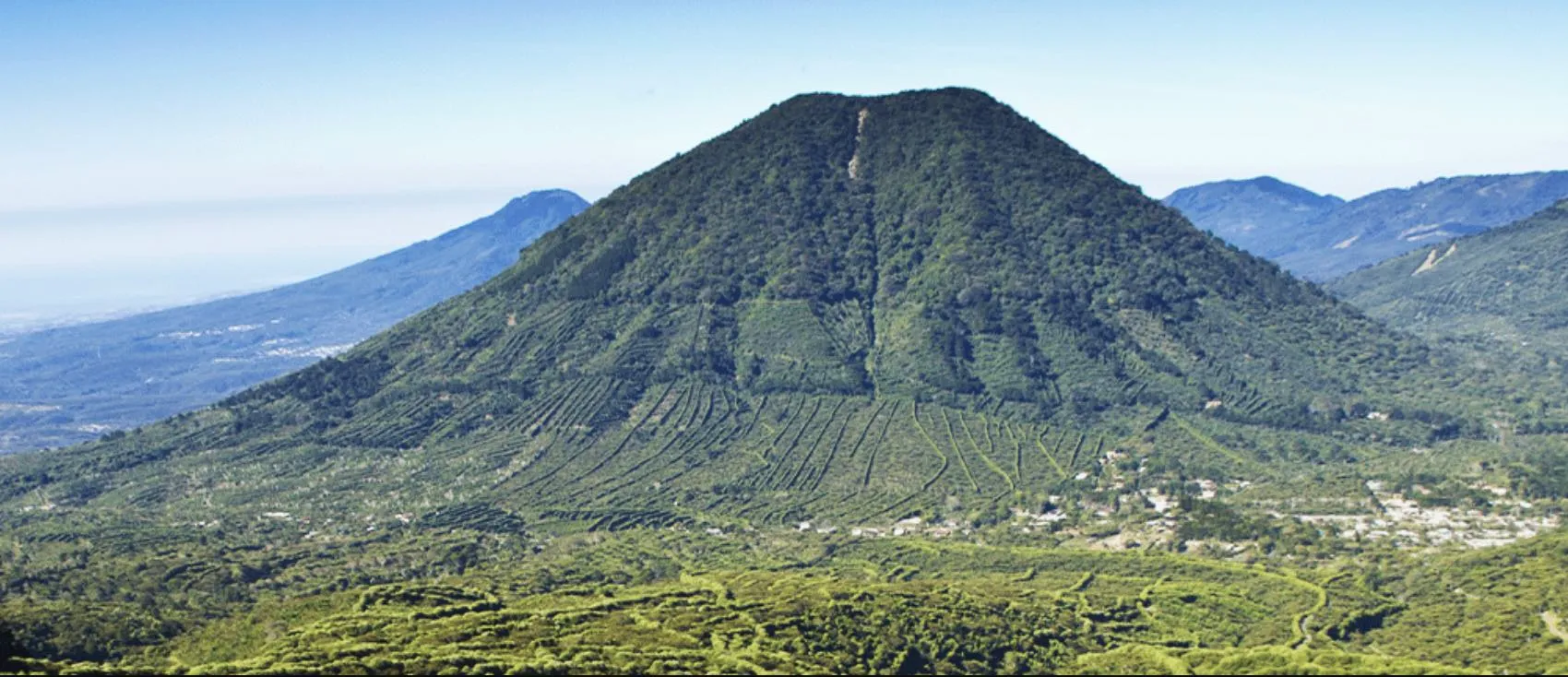 El_Salvador_Coffee_Mountain