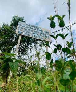 RWANDA NYAKIBANDA RED BOURBON NATURAL