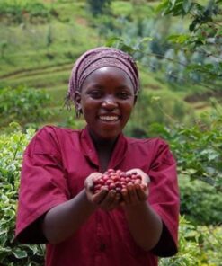 RWANDA NYAKIBANDA RED BOURBON FULLY WASHED